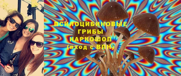 первитин Белоозёрский
